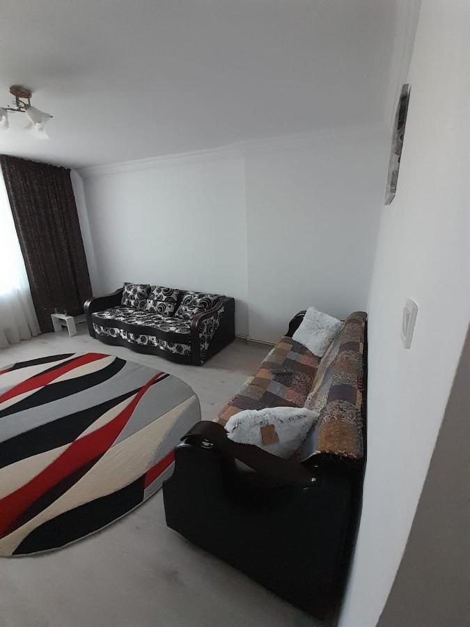 Apartament La Denis Birlad Luaran gambar