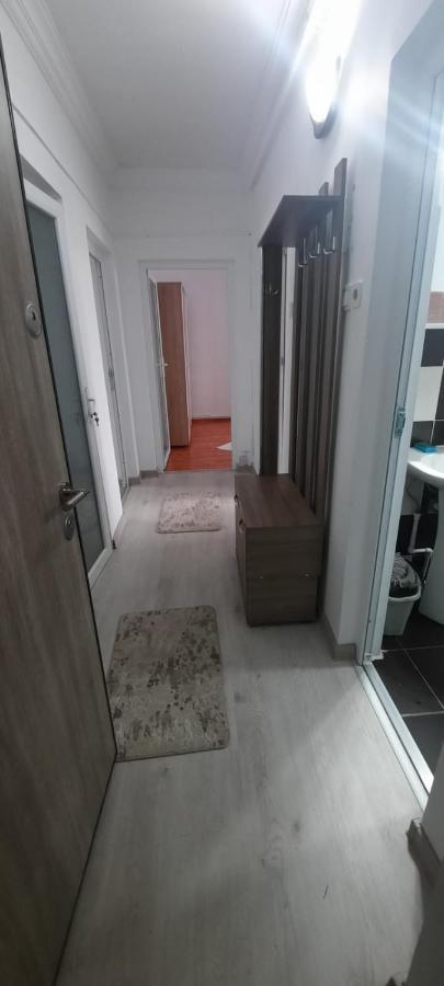 Apartament La Denis Birlad Luaran gambar