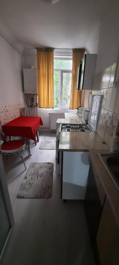 Apartament La Denis Birlad Luaran gambar