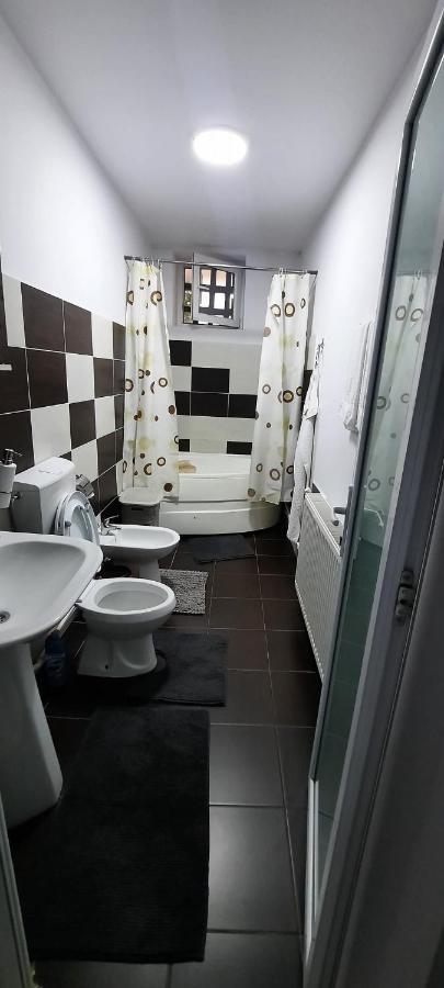 Apartament La Denis Birlad Luaran gambar